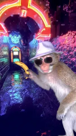 banana case 🍌  #surreal #weirdcore #fyp #monkey #detective 