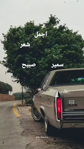 #اشعار #سمير_صبيح #ترندات_تيك_توك #اشعاروقصايد #سمير 