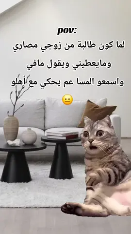 #Meme #MemeCut #CapCut مين متلو🙂#fypシ゚viral🖤tiktok #fypシ゚viral🖤tiktok 
