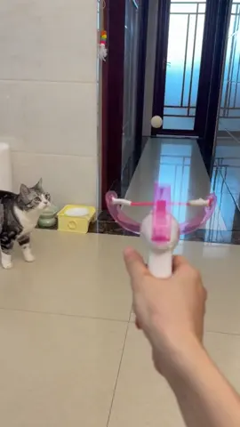 Bored cat? Not anymore! Introducing the AFP Catapult Toy Set – your secret weapon for an active and happy feline. 🎯 One-Click Launch: Easy-to-use catapult gun for instant fun. 🔔 Sound Stimulation: Built-in bell in each ball keeps your cat intrigued. 🌈 Colorful & Cute: Adorable wool balls that are irresistible to chase. 💪 Active Play: Encourages healthy exercise and satisfies natural hunting instincts. Perfect for bonding and burning off that extra energy! Link in bio to shop. #CatPlay #InteractiveToy #CatEnrichment #CatBehavior #CatParents   