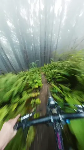 Not my cleanest run, but days like this are pure magic. Mount Prevost laps are back!  @Marin Bikes #mtb