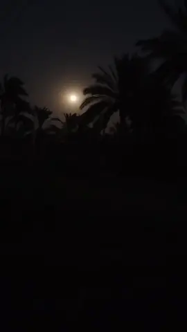 ✨تعرف غلاتك. لوبعد محتاج ابينها اكثر ✨