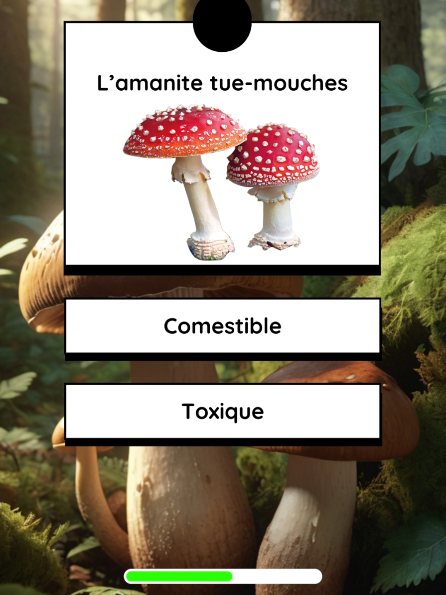 Quiz sur les champignons #survie #champignon #quiz #culture #connaissance 
