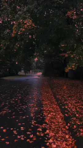 feeling calm during a rainy walk in October 🍂😌 #fyp #ambient #cinematic #autumn #rain 