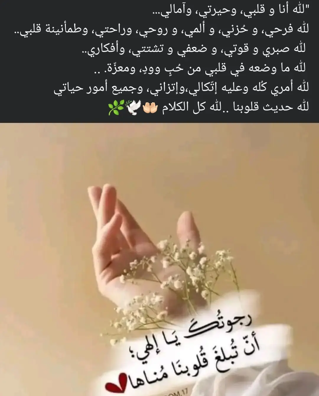 #🤍🤍🤍🕊️🕊️🕊️ 