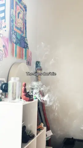 Trust in the universe and the signs it shows  #witch #witchtok #universe #signs #trust 