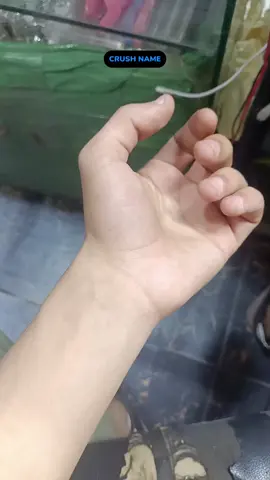 #h  #المحله_الكبري  #fyp  #Love 