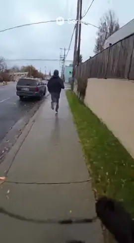 While chasing a robbery suspect, a policeman is distracted by an adorable kitten. #viral #cute #viralvideo #kittensoftiktok #catsoftiktok 