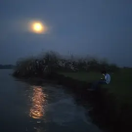 চাঁদ ঝরছে কাশফুলের রাজ্যে... #yfp #foryou #viral #drone #everyone #trending #bdtiktokofficial🇧🇩 #tiktok 