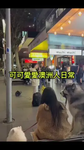 那之後很多朋朋問我還會不會害怕再去唱街頭-答案肯定是 會，但這並不影響我想唱歌的心以及我跟大家的互動☺ #墨爾本 #街頭藝人 #表演 #唱歌 #感動シーン 