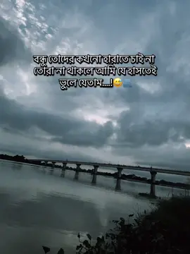 তোদের খুব ভালো বাসি রে বন্ধু....! 😅🫂#fyp #foryoupage #vairal #bondhu 