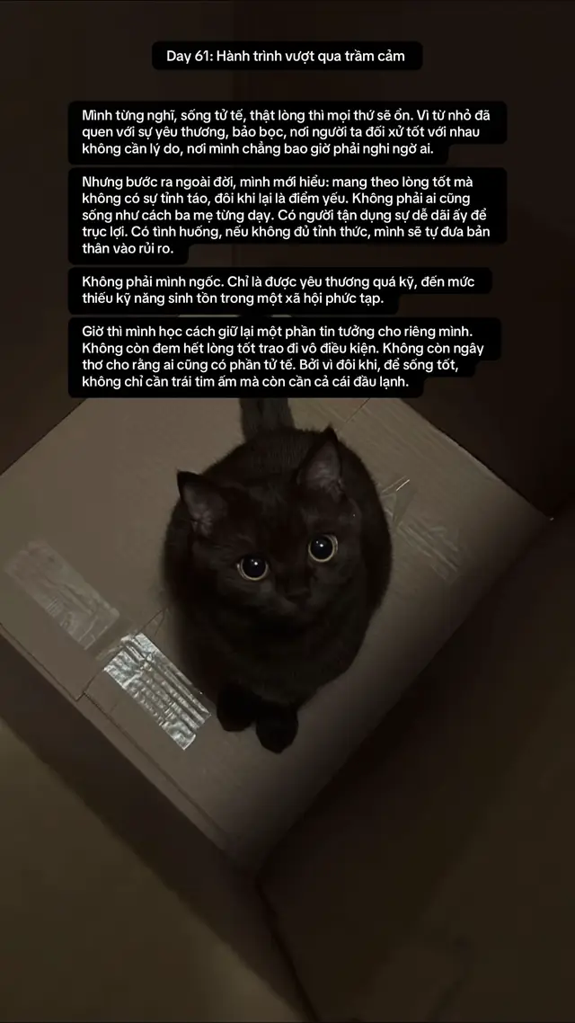 Day 61 of Brave Journey. #brave #hope #peace 