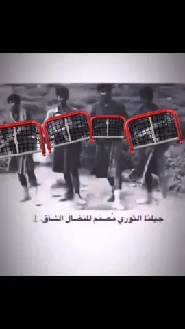 #اكسبلور 
