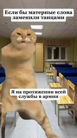 #армия #дмб #служба #мат 