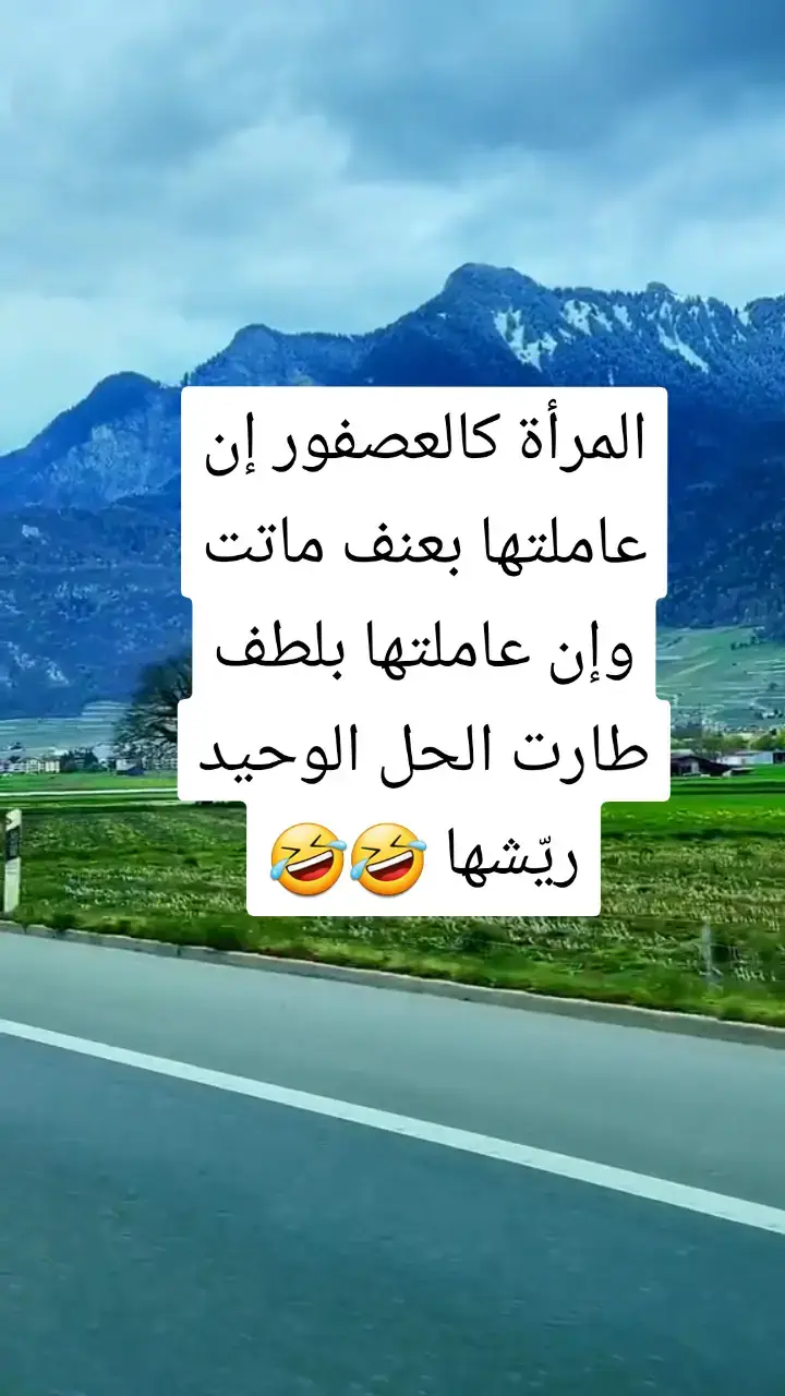 #الجزئر🇩🇿_المغرب🇲🇦_تونس🇹🇳 
