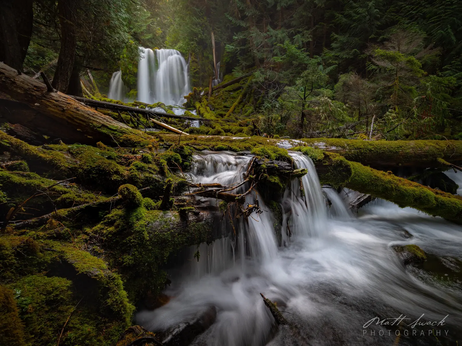 One of my favorite places in Oregon 🌿 Downing Creek Falls is surrounded by more moss than I’ve ever seen—every rock, log, and ledge blanketed in deep green. The crystal-clear water flows gracefully down endless cascades along the creek, creating the perfect Pacific Northwest scene. A true gem 💎😍