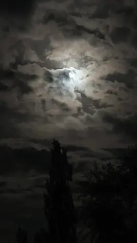 کچھ لمحے ہمیشہ دل کو قید کر لیتے ہیں❤️‍🩹 #foryoupage #viral #sadsoul #fyp #trending 