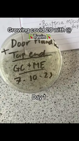 #purge #fyp #covid #virus #bacteria @🎋Twin🎋 count your days 