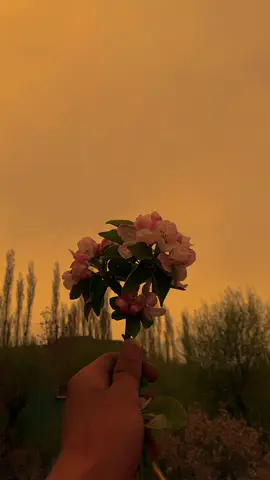 کسی کی محبت کا اکیلے وارث ہونا بڑے نصیب کی بات ہے🥀 #foryou  #fyp  #grow  #viewsproblem  #Outdoors 