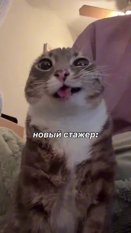 Отмечаю своего стажера в комментариях 🤗#ресторан #общепит 
