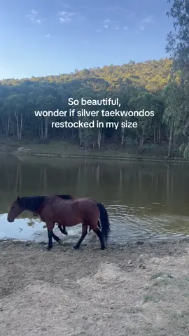 seriously tho #taekwondos #andbreathe #naturetok #adidas 