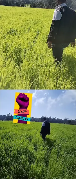 #creatorsearchinsights #muslimtiktok #muslimtiktok🤲🤲🕋🕋🕌🕌 #ስልጤነት_ይላምልም👌🍃☘️☘️🥀 