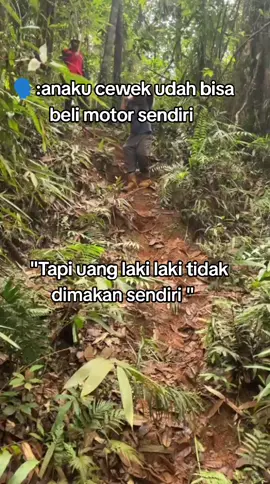 #storytambang #tambangnickel #fyp #kulitambang #exploration 