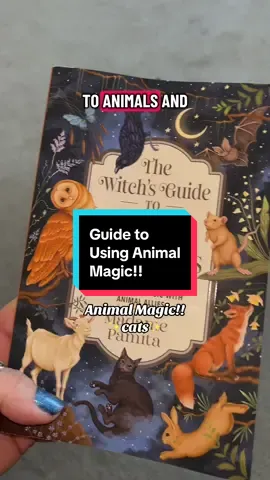 What animals are you curious about? #animals #animalmagic  #rituals #catmagic #witchtok 