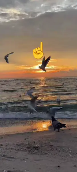 #unutma #Allah #her #seyi gorur#☝️☝️☝️ 