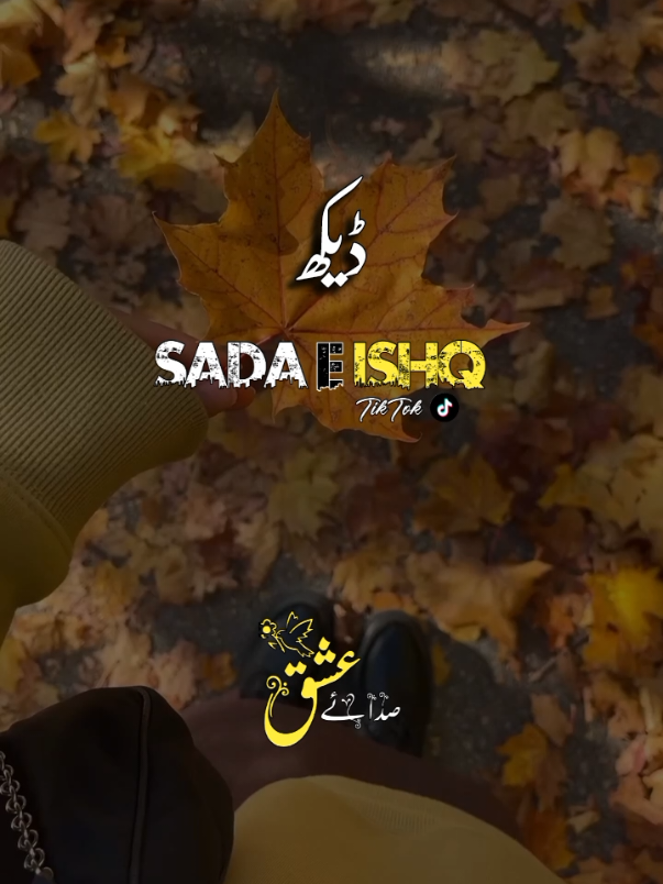 #foryou #foryoupage #foryouofficial #sarkipoetry #dontunderreviewmyvideo @Malal e ishq 