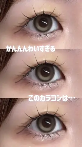 ほんっっとうに可愛すぎない……？？くるくる回っちゃうのは難点なんだけど……😵‍💫🌀 #水光カラコン #カラコン 