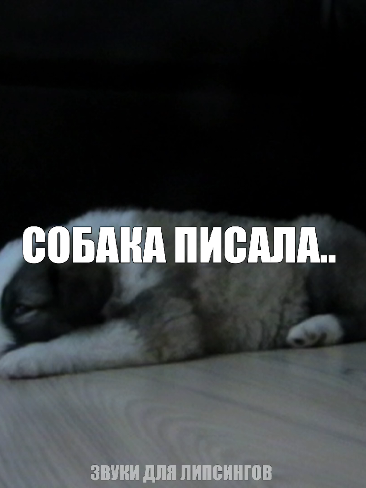 — и заплакала.. // все треки уже в тгк: навеиваю музыку #музыкарокайфу#глобальныерекомендации#песня#песни 