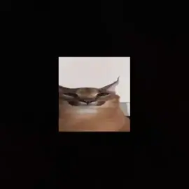 Бро ты умрёшь и тд.#бротыумреешьитд