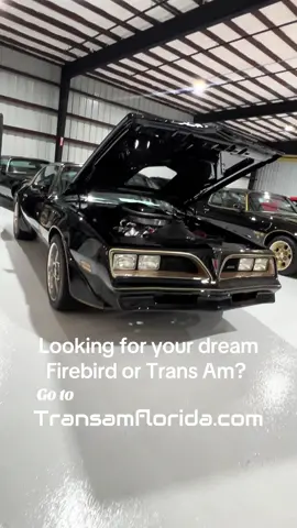 #pontiac #firebird #transam #musclecar #bandit 