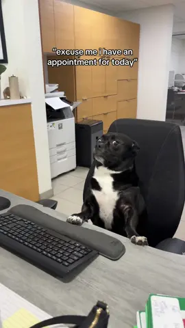 He’s new, sorry 😅 Want to contact us? 📞 Give us a call at 250-287-9555 ✉️ Send us an email at reception@rivercityram.com 💻 Check out our website at https://www.rivercityram.com/ 📍 Come see us at 2777 North Island Highway, V9W 2H4 (Dealer 9332) #rivercityram #ram #dodge #jeep #smgshorts 