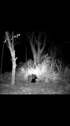 #سبحان_الله_وبحمده_سبحان_الله_العظيم #القران_الكريم_راحه_نفسية😍🕋 #اللهم_صلي_على_نبينا_محمد #هاوبەش_کانی #الکردستان_العراق🌹 