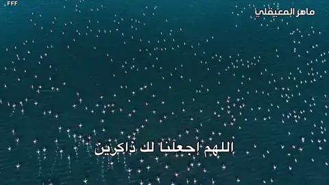 #ماهر_المعيقلي#دعاء 