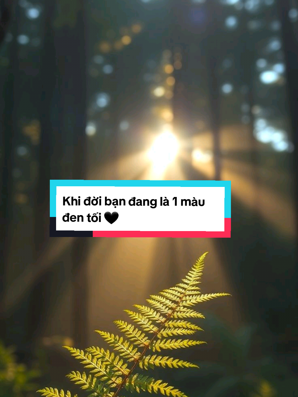 “Không phải nơi nào cũng chỉ có nắng đẹp. Ở những nơi mưa bão, nỗi mất mát khắc vào ký ức, nhưng cũng dạy ta biết trân trọng những ngày bình yên nhiều hơn.” #anlactaitam #bìnhyên #giớiđịnhtuệ  #viral #loveyou 