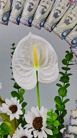 #creatorsearchinsight #منسق_ورد_طبيعي_وهدايا #علي_0552551875 #احدالمسارحه_حي_الواسط_متجر_ورود #اكسبلور 