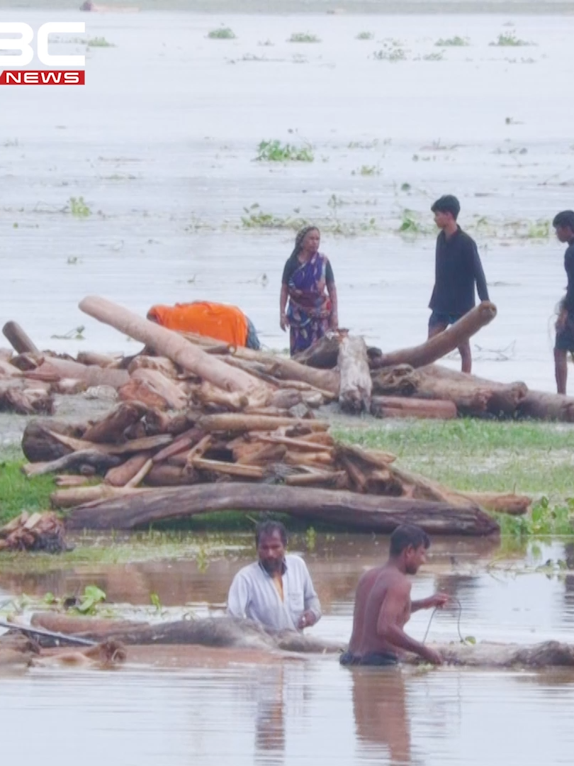 ভারত থেকে নদী পথে ভেসে আসছে হাজার হাজার গাছের গুড়ি
