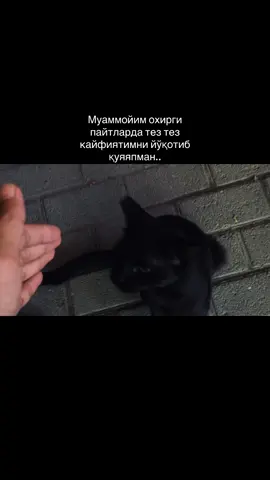 Таниш хисми ?