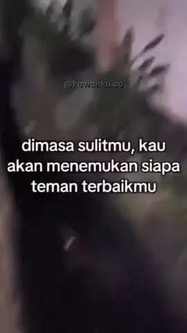 #tiktokviral #wargatiktok #pyfツ #hahahaha  😌🤣