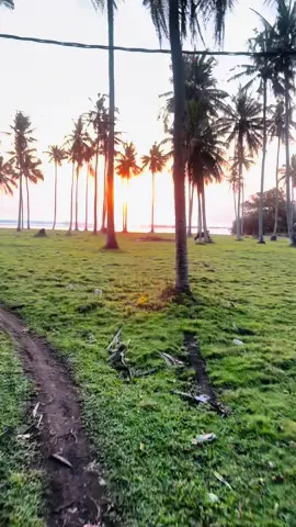 #sunset #goldenhour 