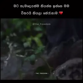 මට මම වීතරයි 🥹❤️‍🩹#srilankan_tik_tok🇱🇰egypt #virlvideo #fyp #trending 