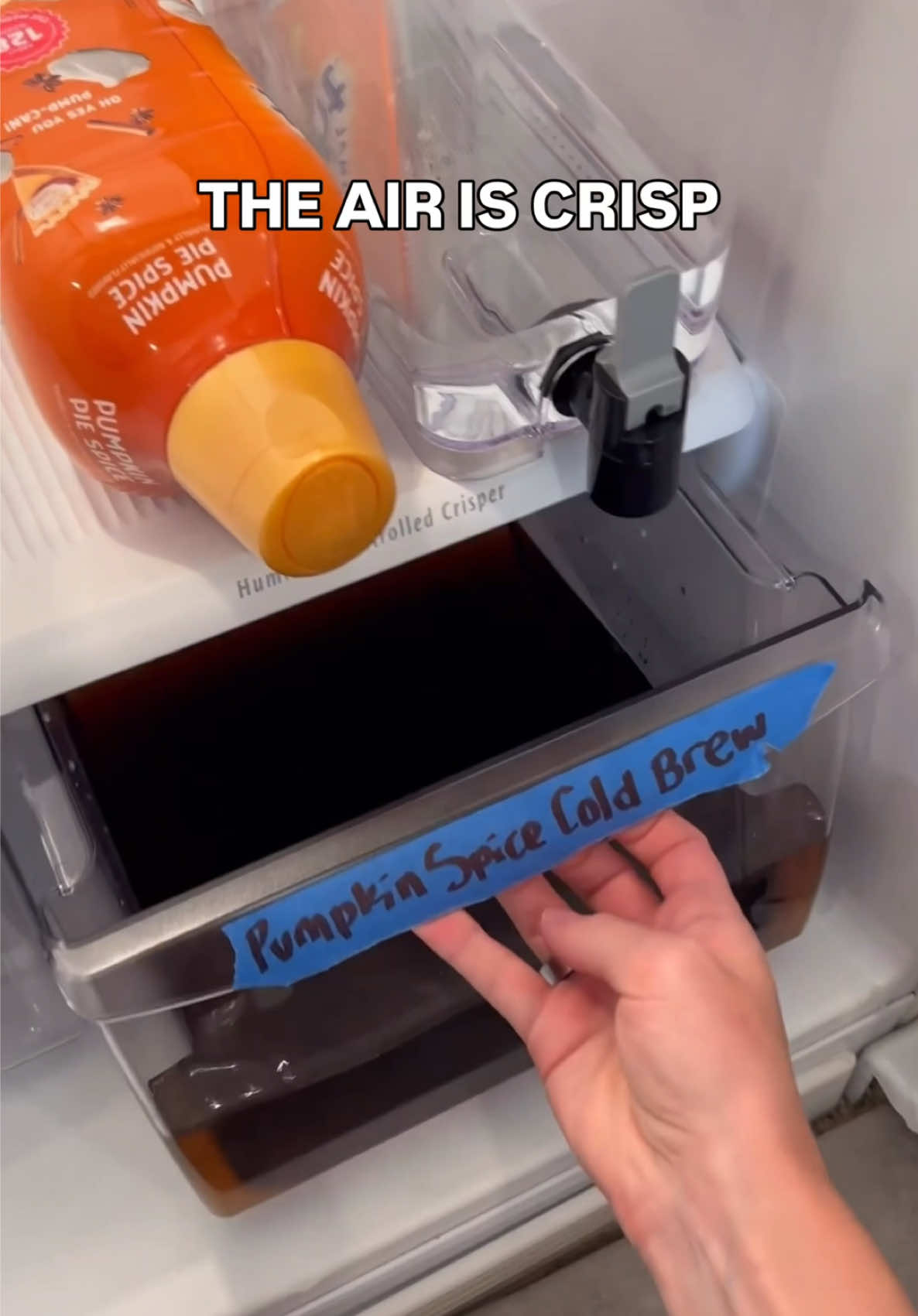 THIS is my love language (and a full Brita) 🙂‍↕️ #bwita #fyp #unhinged #pumpkinspice 