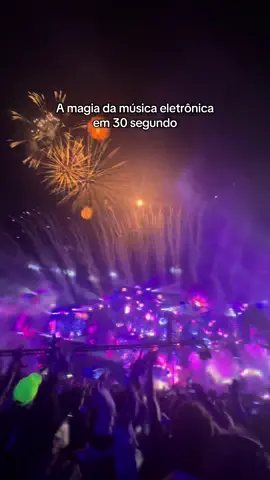 VEM TOMORROWLAND BRASIL!!! Só quem vive a música eletrônica entende a felicidade de viver tudo isso. #tomorrowlandbrasil #tomorrowland #musicaeletronica #FestivalNoTikTok #housemusic 