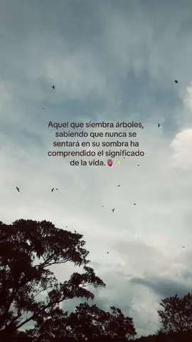 🤌🏽.#fotoanimada #filosofia #xybca #fpy_tiktok #tiktokestudio 