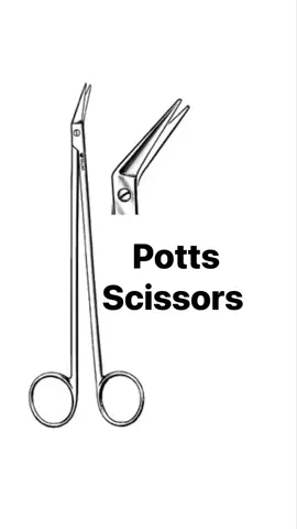 #History #TikTokLearningCampaign  Pott’s scissors 