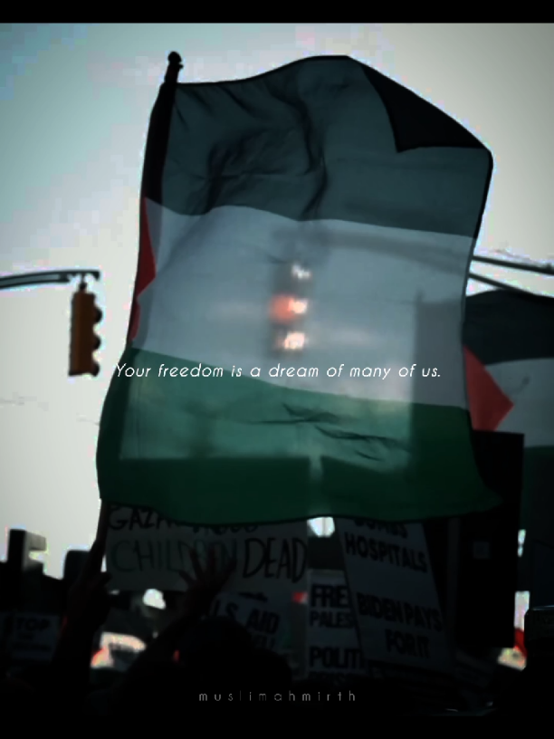 Never stop making Dua for Palestine 🥺🇵🇸🙌🏻  #foryoupage #fyppppppppppppppppppppppp #foryou #freepalestine #palestine🇵🇸 