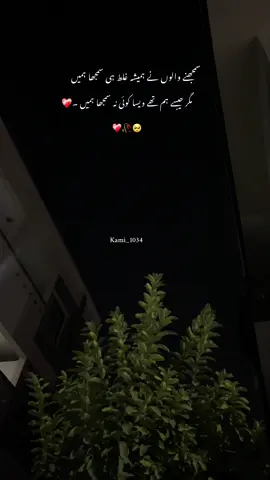 سمجھنے والوں نے ہمیشہ غلط ہی سمجھا ہمیں ❤️‍🩹#videos #account #foryou #status #esthetics 